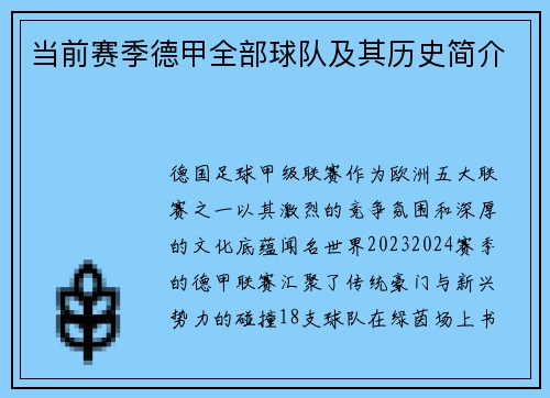 当前赛季德甲全部球队及其历史简介